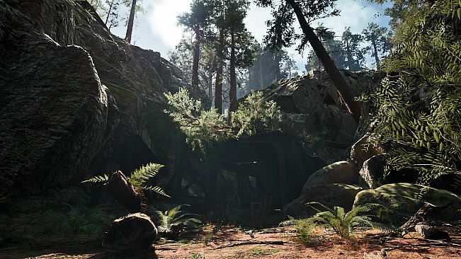 The Backrooms Company