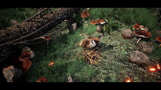 Soilborn: Ant Empire