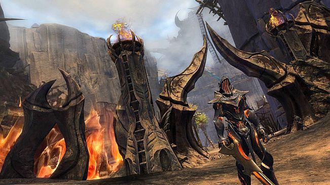 Expansion Starter Pack - Guild Wars 2: Heart of Thorns and Path of Fire
