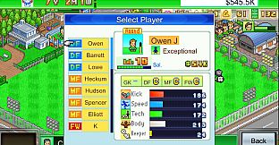 Pocket League Story