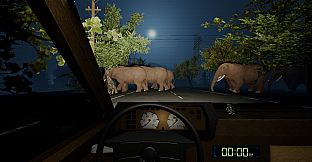 Night Drive - Anomaly
