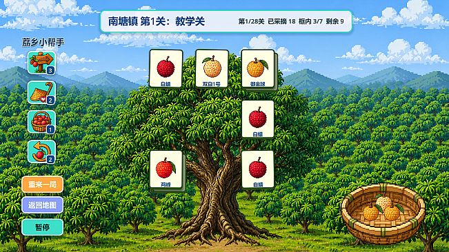 Know Lychees / 来高州识荔枝
