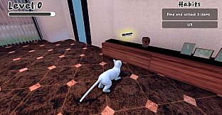 The Office Cat