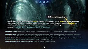 Universe Has No Favorites