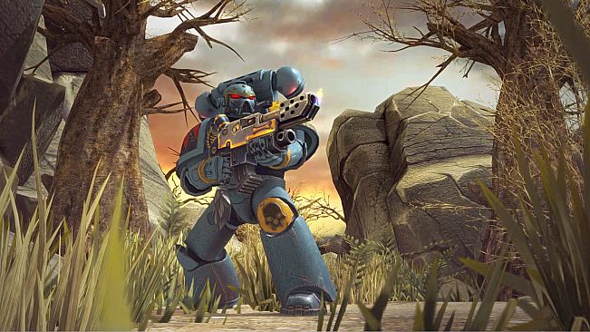 Warhammer 40,000: Space Wolf