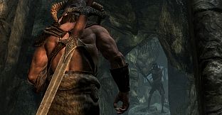 Skyrim: High Resolution Texture Pack (Free DLC)