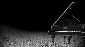 Six Cabins in Serpent Ridge National Forest