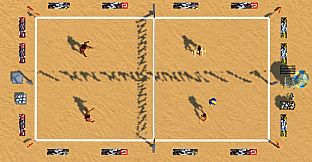 Beach Volleyball Empire