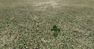 Six-Leaf Clover Hunt