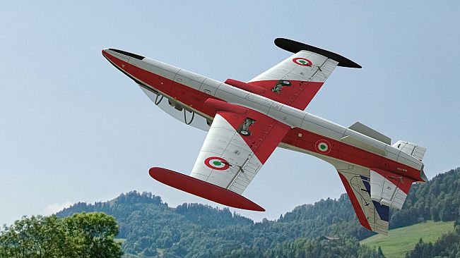 RealFlight Evolution - 2024 Year Content Pass