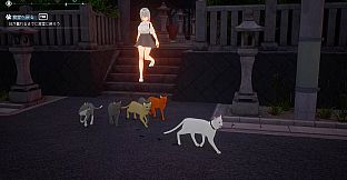 Cat Island Petrichor