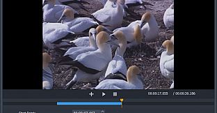 Free Video Cutter Joiner