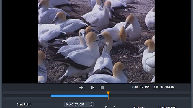 Free Video Cutter Joiner