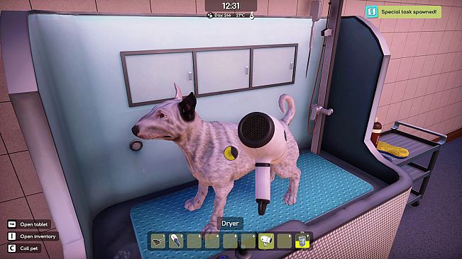 Animal Shelter 2 - Bull-Type Terriers Dogs Pack