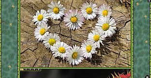 Jigsaw Puzzle Pack - Pixel Puzzles Ultimate: Variety Pack 22