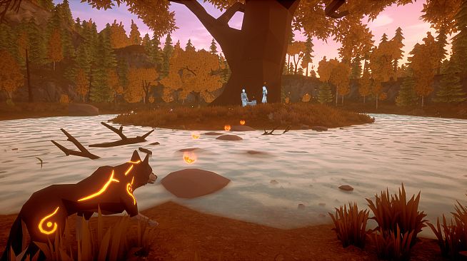 Paws and Soul: First Step