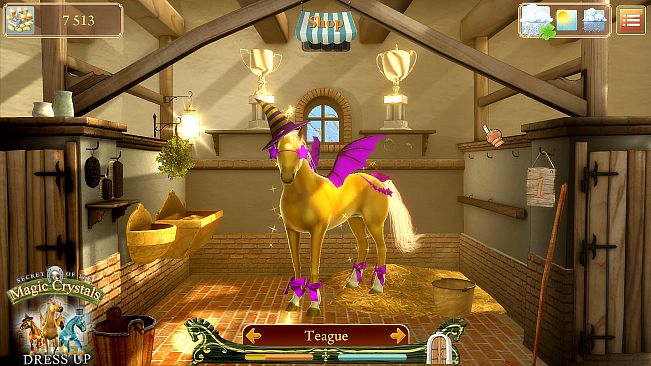 Secret of the Magic Crystals - Dress Up