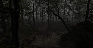 The Overnight Screening