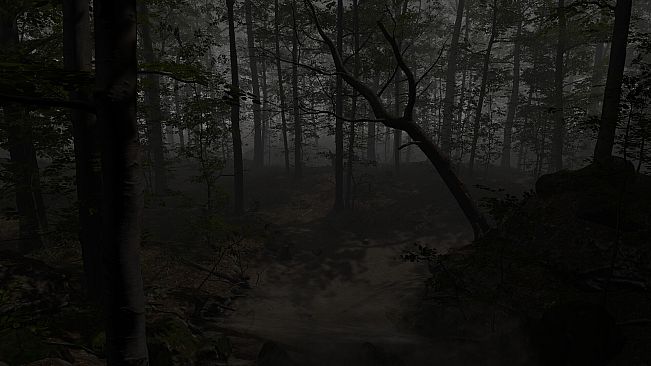 The Overnight Screening