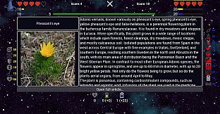 I've Seen Everything - Flowers