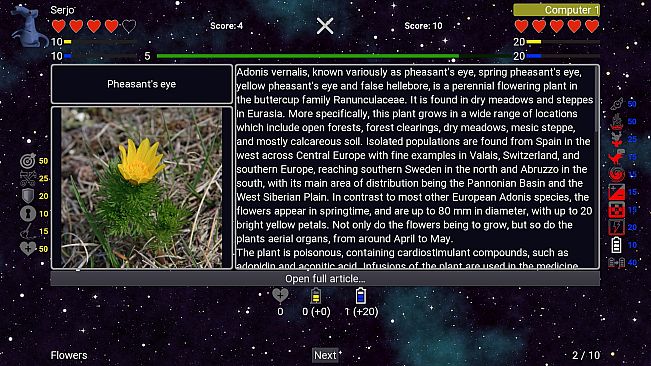 I've Seen Everything - Flowers