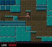 Raider Kid and the Ruby Chest