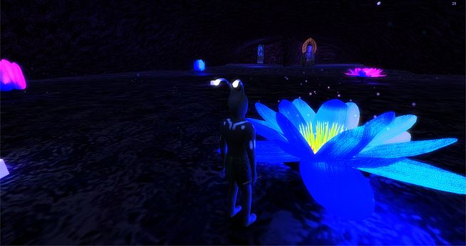 New kind of adventure