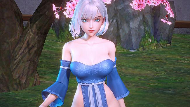 Angel Legion-DLC Draped Corsetry B