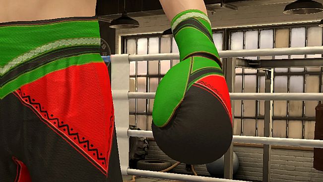 The Thrill Of The Fight 2 - Victory Gear Gloves