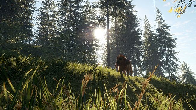 theHunter: Call of the Wild - Bloodhound - Windows 10