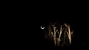 Adrift in the Backrooms