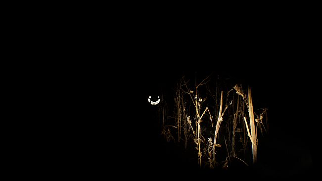 Adrift in the Backrooms