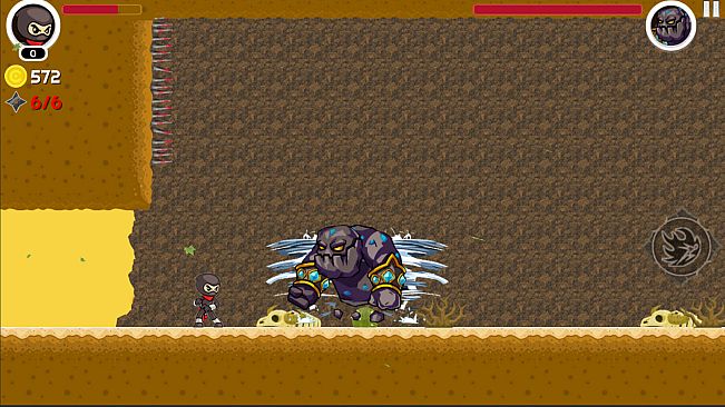 Ninja: Rise of a Hero