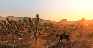 Red Dead Redemption (PC)