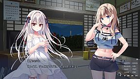 流る星 -a wish star-