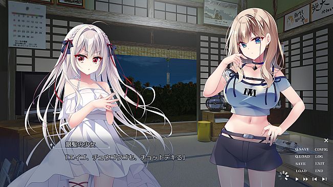 流る星 -a wish star-