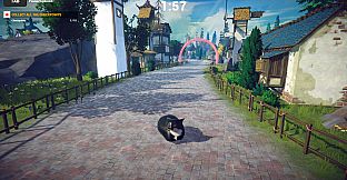 Cat Karting