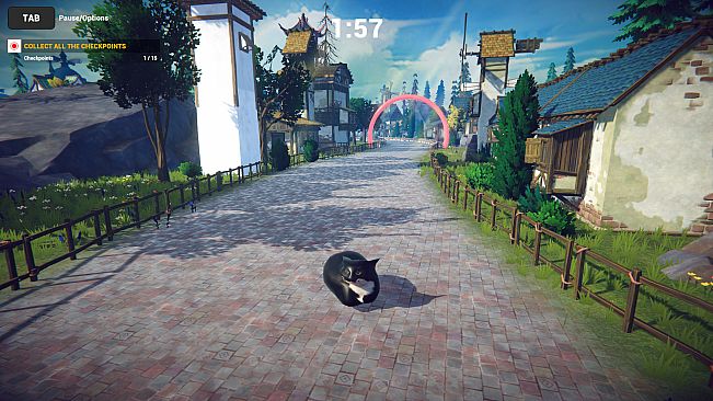 Cat Karting