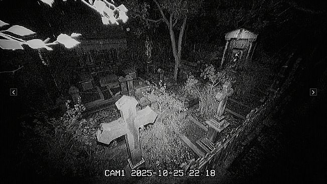 The Cemetery Shift | 墓地の夜勤