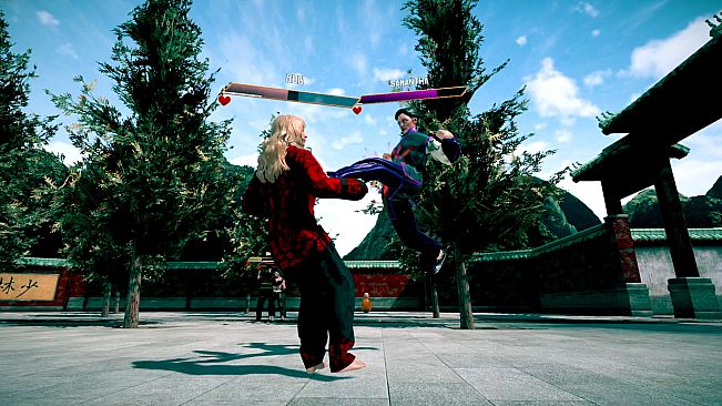 Dragon Fist: VR Kung Fu