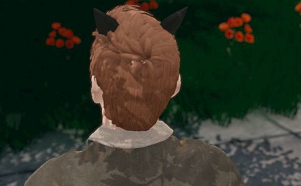 Hide and Seek - Small Ears