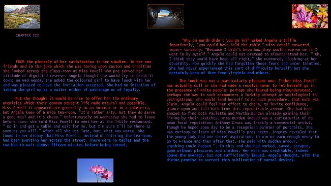 Plum Bun Reformatted