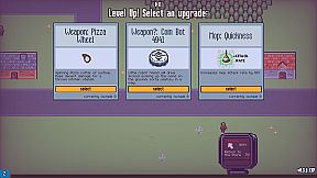 Pizza Delivery Survivors