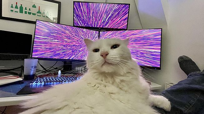 The Jean-Paul Software Screen Explosion