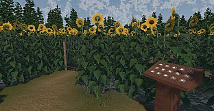 The Path of the Sunflower