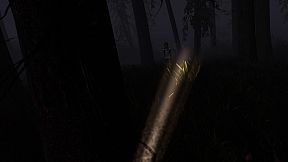 Fire Shadows + People: The Last Bullet