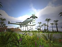 Paws and Claws: Pampered Pets