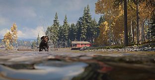 theHunter: Call of the Wild - Labrador Retriever