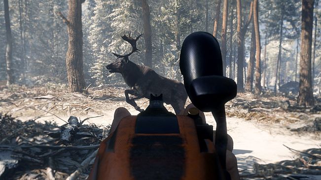 theHunter: Call of the Wild - Smoking Barrels Weapon Pack
