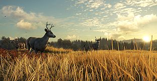 theHunter: Call of the Wild - TruRACS